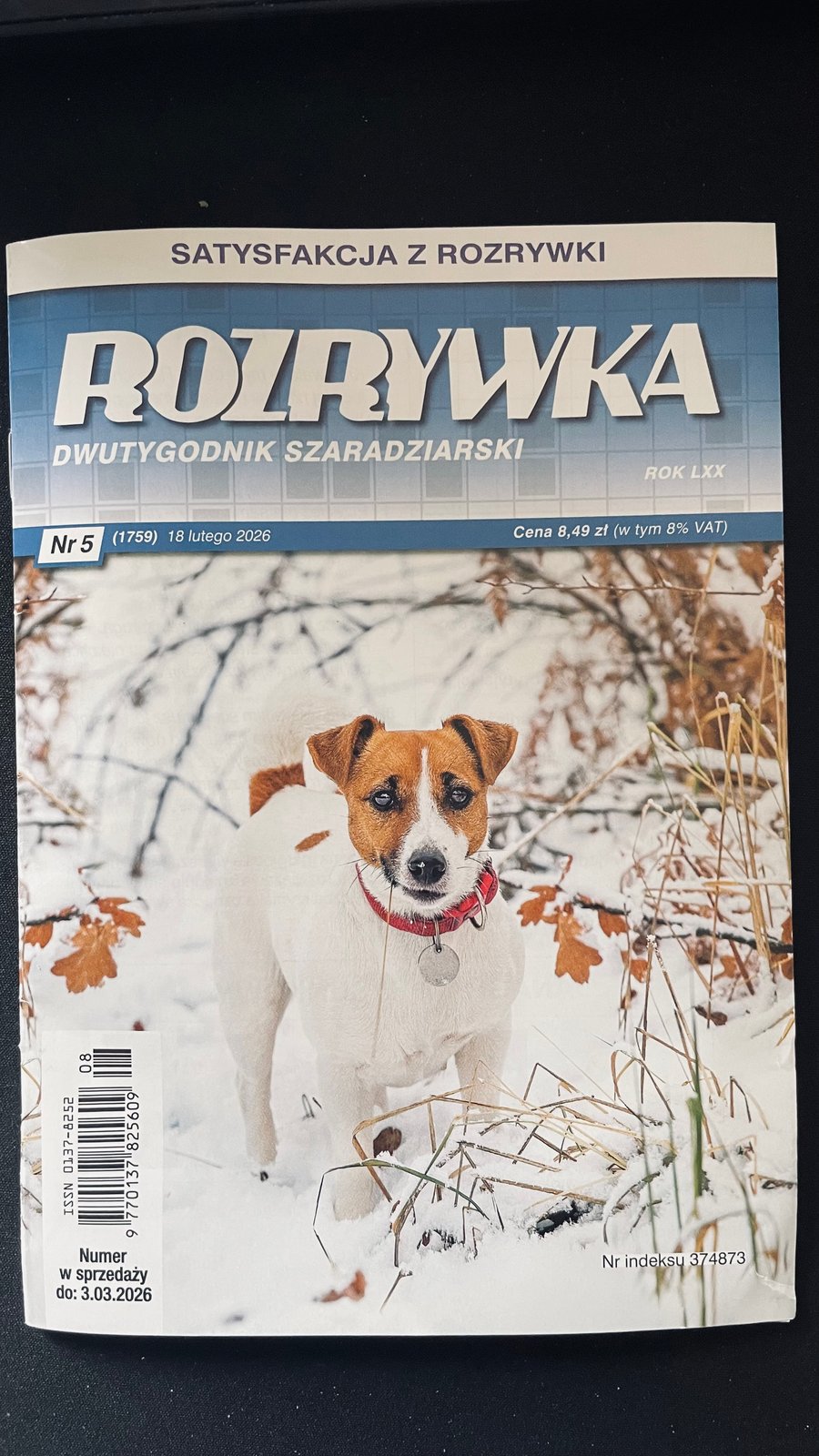 Okładka Rozrywka