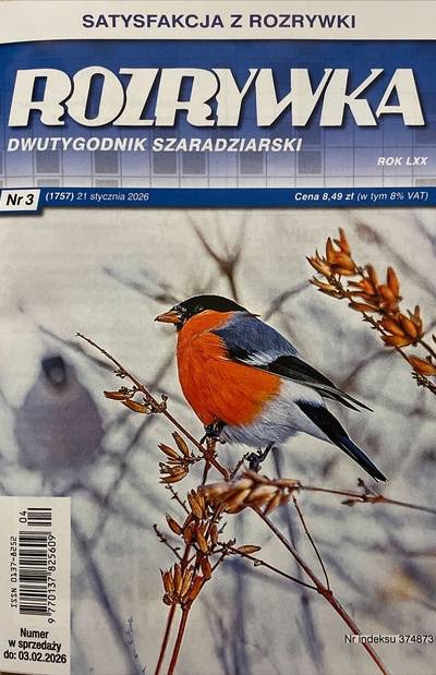 Okładka Rozrywka