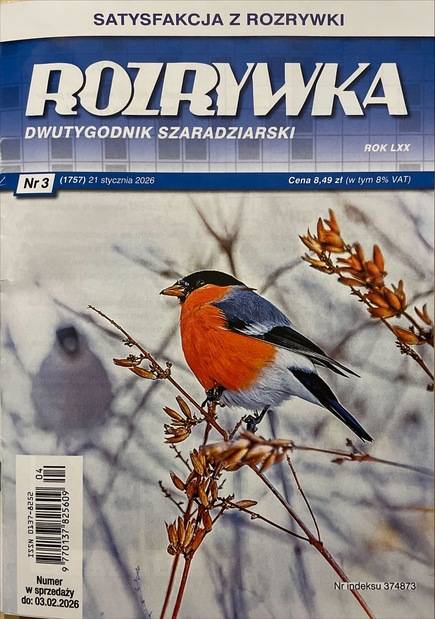 Okładka Rozrywka