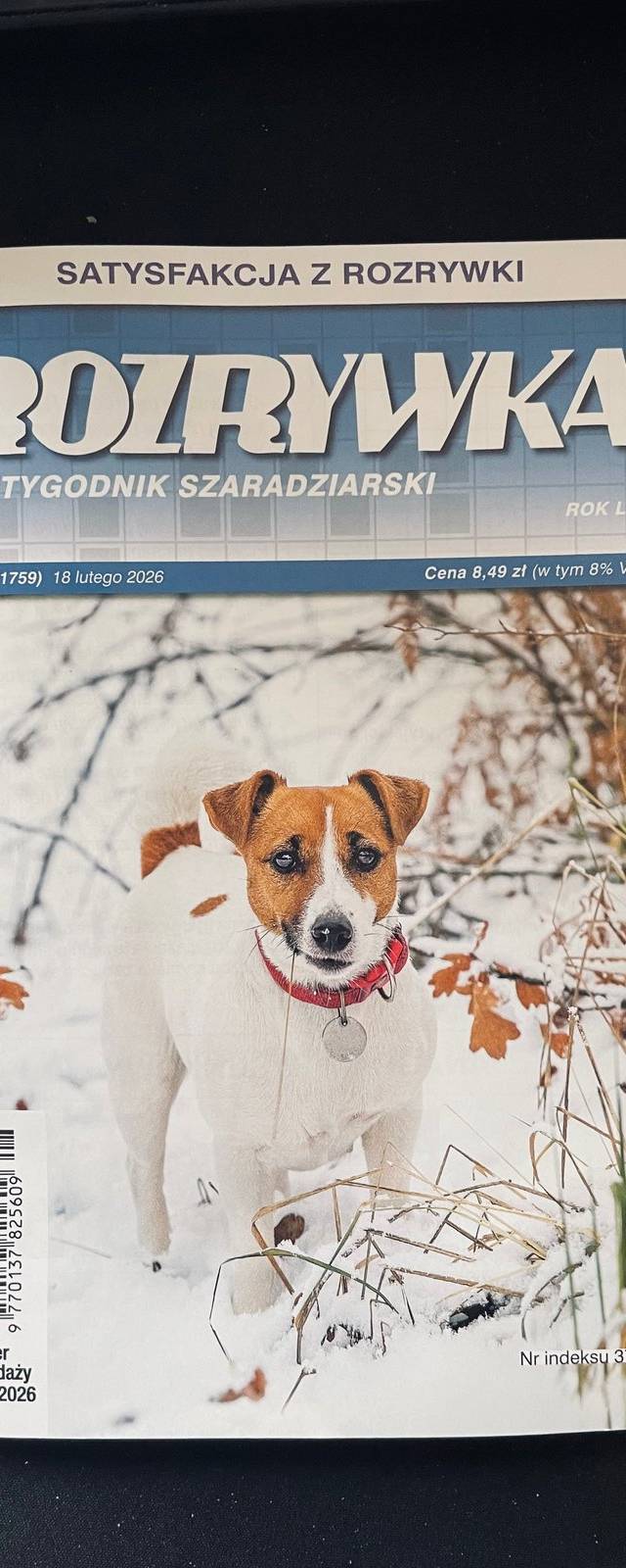 Okładka Rozrywka